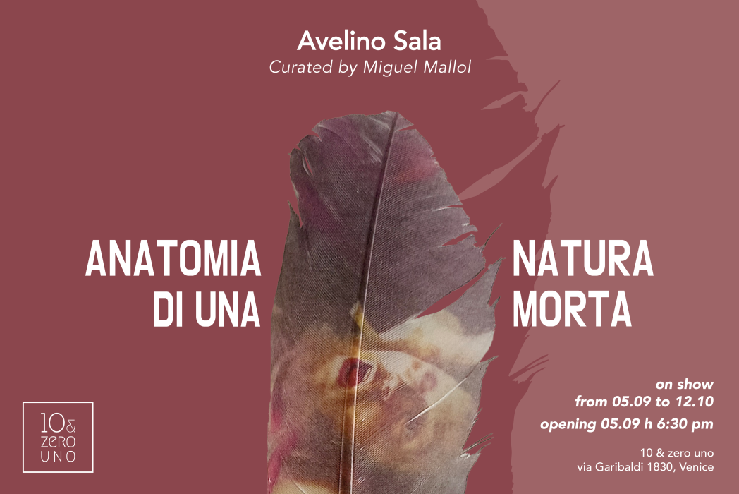 Anatomia di una Natura&nbsp;Morta